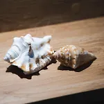 Alojamento de Acomodação e Pequeno-almoço Granelli Di Sabbia Porto Cesareo